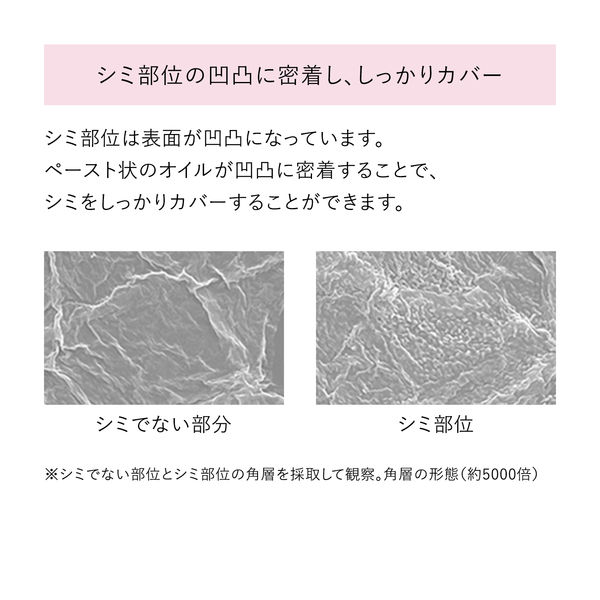 HAKU（ハク） ブライトニングファンデーション ライトベージュ 30g