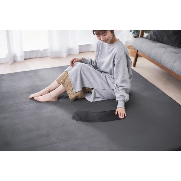 アイリスオーヤマ ラ・クッションラグ マイクロムートンタイプ 185×240