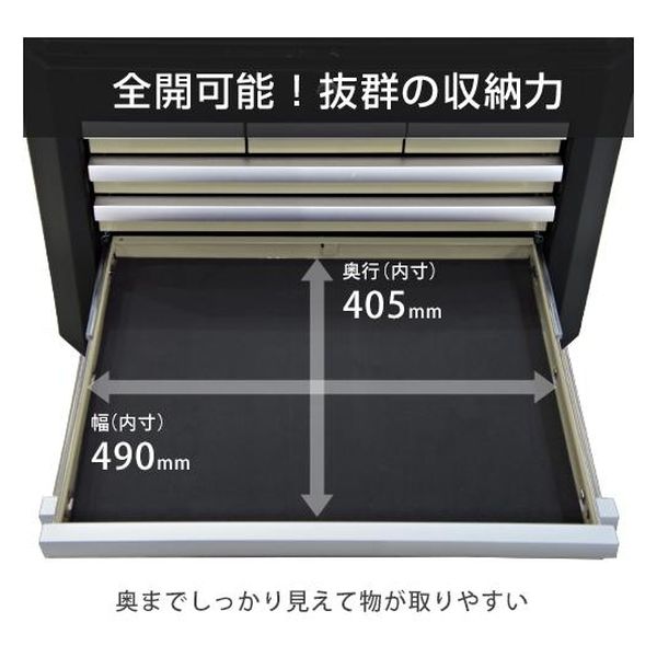 ミナト電機工業 高耐久型 ツールチェスト 6段 TB-2660A 1個（直送品