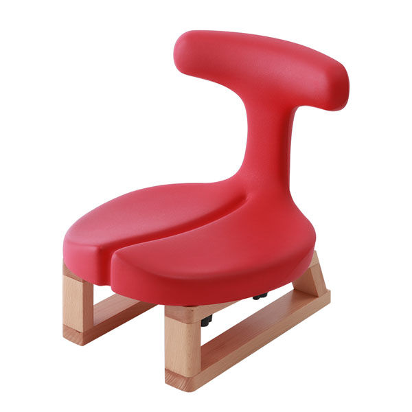 アーユル・チェアージャパン アーユル・チェアー あぐらイス レッド