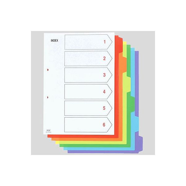 テージー カラーインデックスPP2穴 6山 IN-1406 1袋（5組入） - アスクル