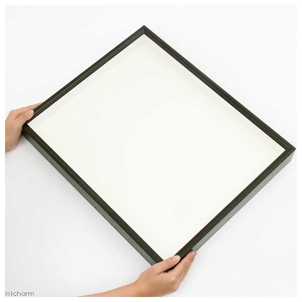 志賀昆虫 特製ドイツ型標本箱 大型 178853 1個（直送品） - アスクル