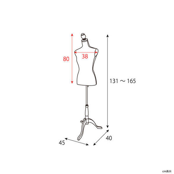 宮武製作所 トルソー ベージュ アンティーク風 TS-2000 BE 1台（直送品