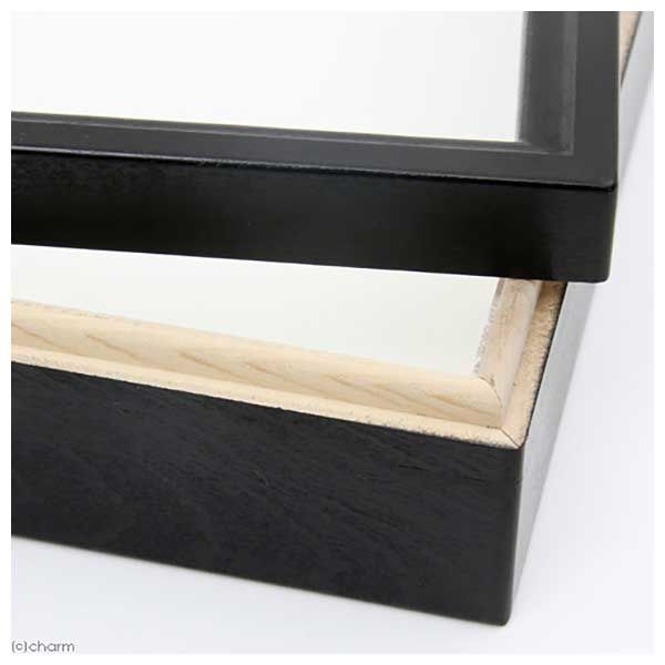 志賀昆虫 特製ドイツ型標本箱 大型 178853 1個（直送品） - アスクル