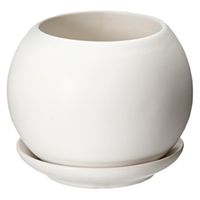 グラススクエア マットボールS 白 鉢皿付き 2号鉢 282822 1個（直送品