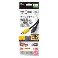 サンワサプライ USB5Gbps Type-Cケーブル（PD75W・DP Altモード対応