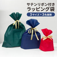 サテンリボン付きラッピング袋 Mサイズ SW3545-041-50 1箱（50枚入