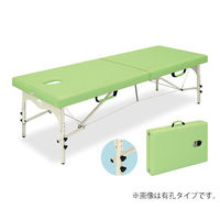 大信工業 折りたたみ診察台 500×1800×500mm DF-C 1台 0-5209-01（直送