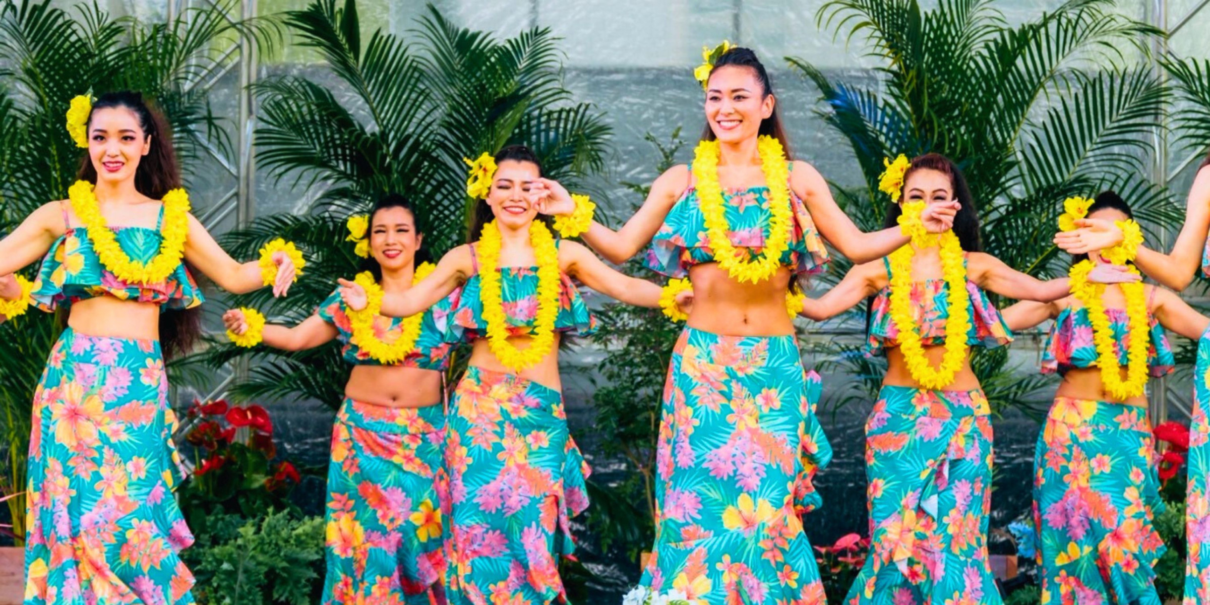 タヒチアンダンス/フラダンススタジオ TAHEAT(タヒート) 恵比寿/渋谷