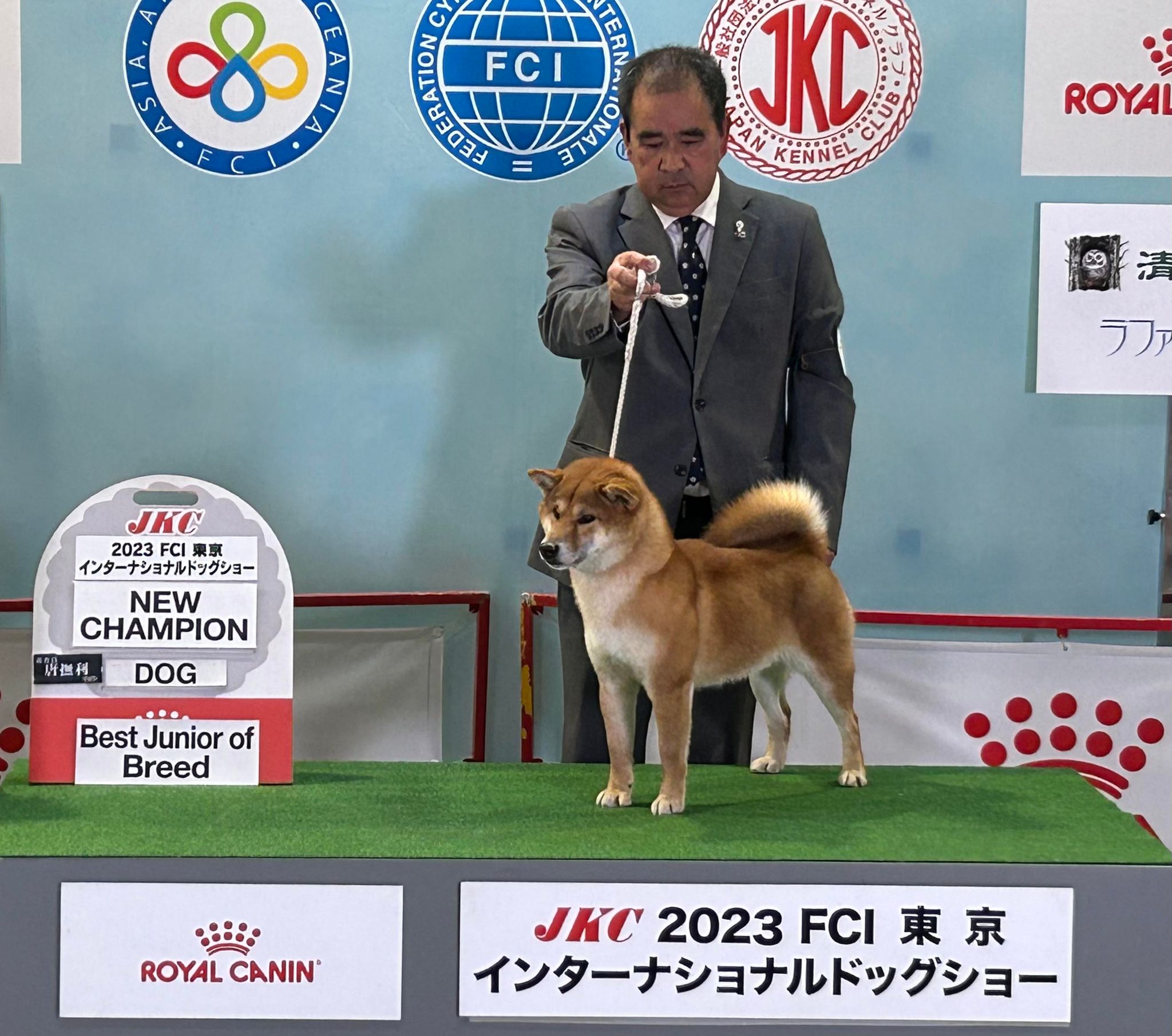広瀬の天将号JKCJrチャンピオン完成しました! - 柴犬＆豆柴ブリーダー