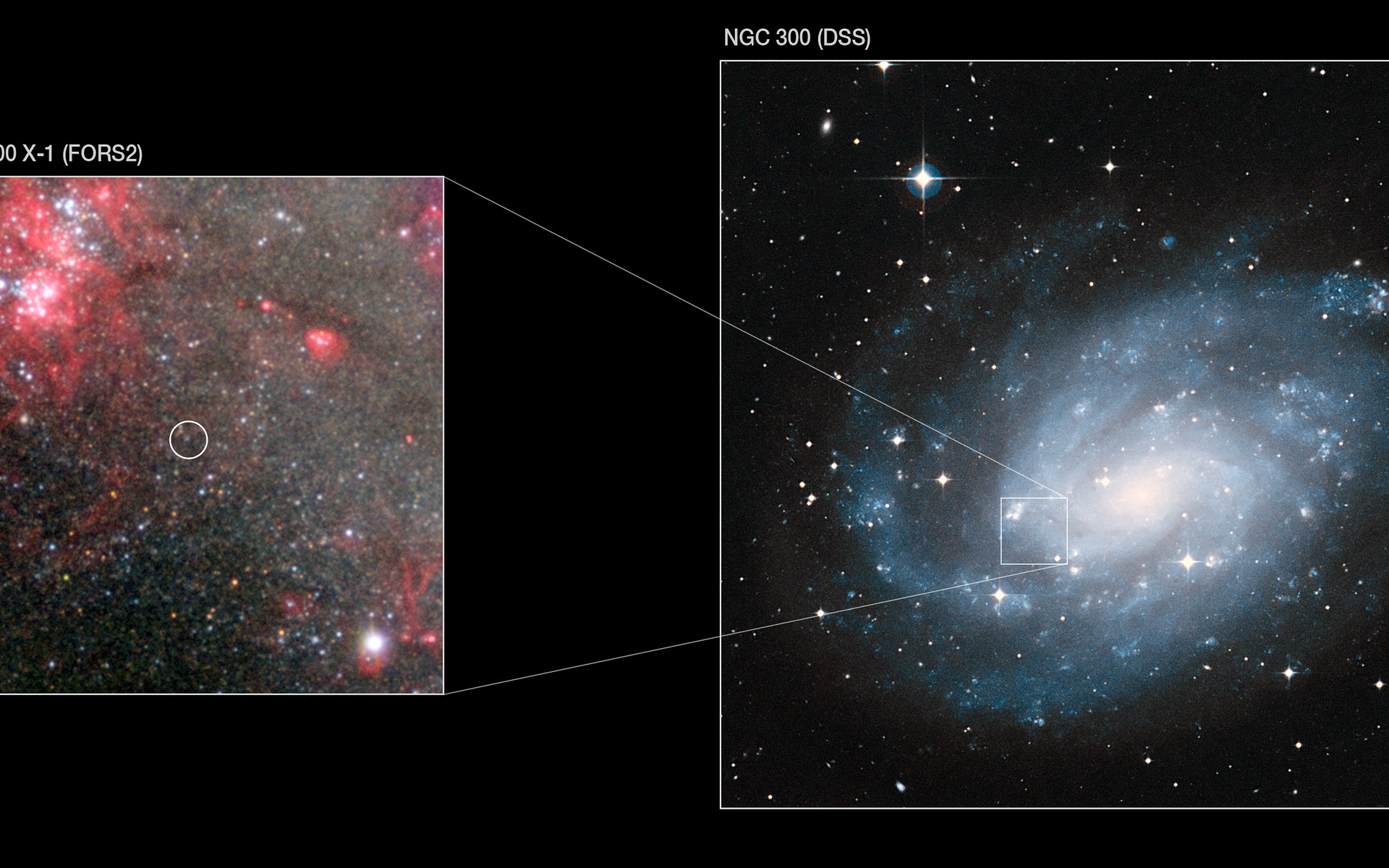 NGC 300 X-1 in the spiral galaxy NGC 300 | ESO