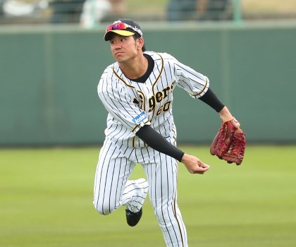 show_img.php?contents_id=