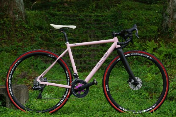 秋ヶ瀬公園でワンバイエス体験試乗会、トークイベント＆レッスンも実施