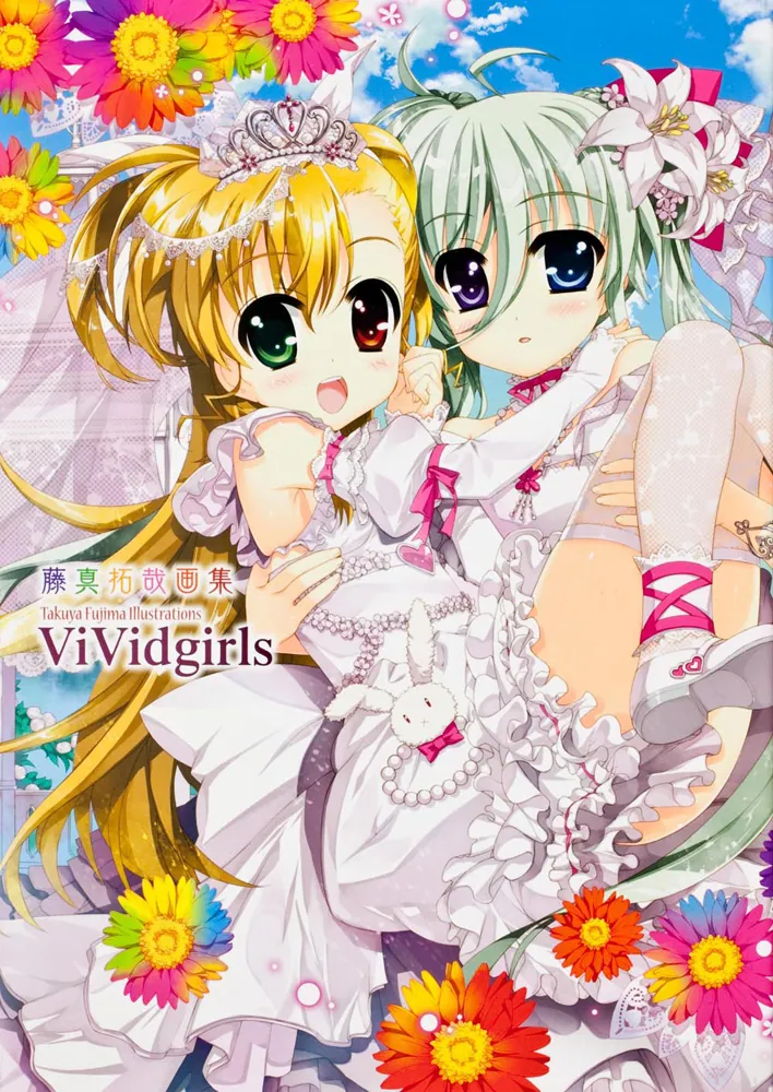 藤真拓哉画集 ViVidgirls」藤真拓哉 [画集・ファンブック