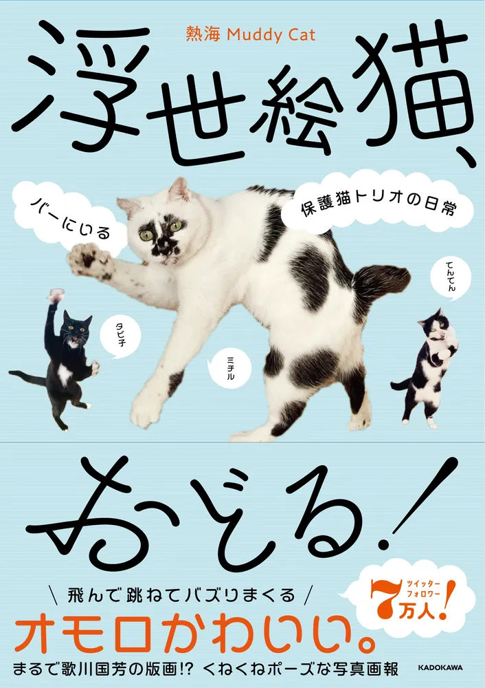 浮世絵猫、おどる！ バーにいる保護猫トリオの日常」熱海MuddyCat