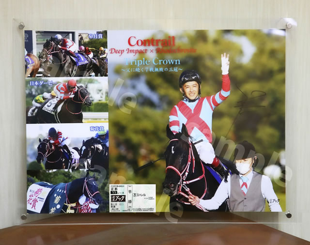 お知らせ | 競馬ブック