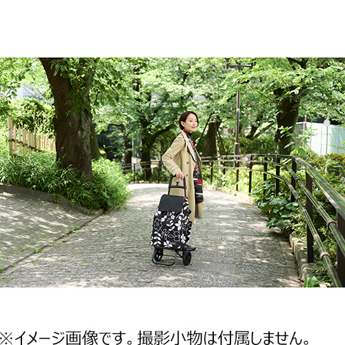 レップ（REP） COCORO フラワーカートセット ブラック｜【ハンズネット