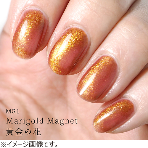 ホーメイ（HOMEI） ウィークリージェル MG1 マリーゴールドマグネット