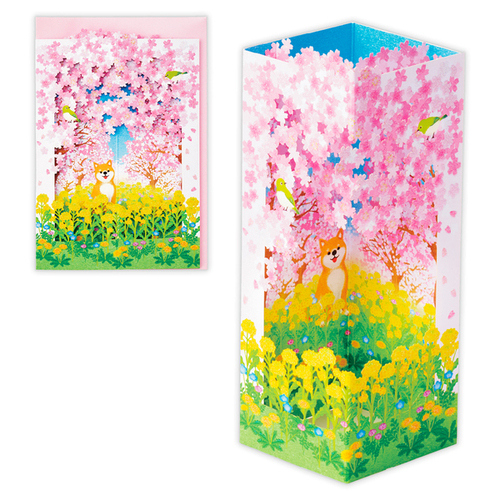ホールマーク（Hallmark） 春柄立体グリーティングカード 841881 桜と