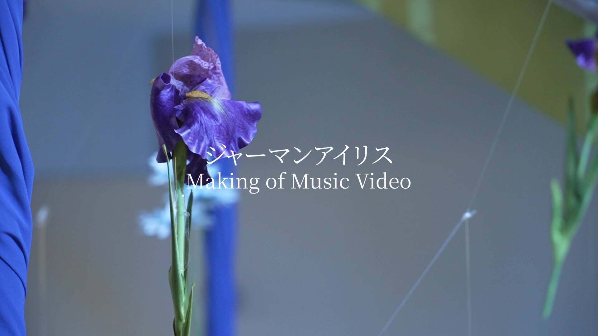 ジャーマンアイリス」MVメイキングム | FCニュース | 日向坂46