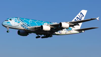 JA381A - Airbus A380-841 - All Nippon Airways - Flightradar24