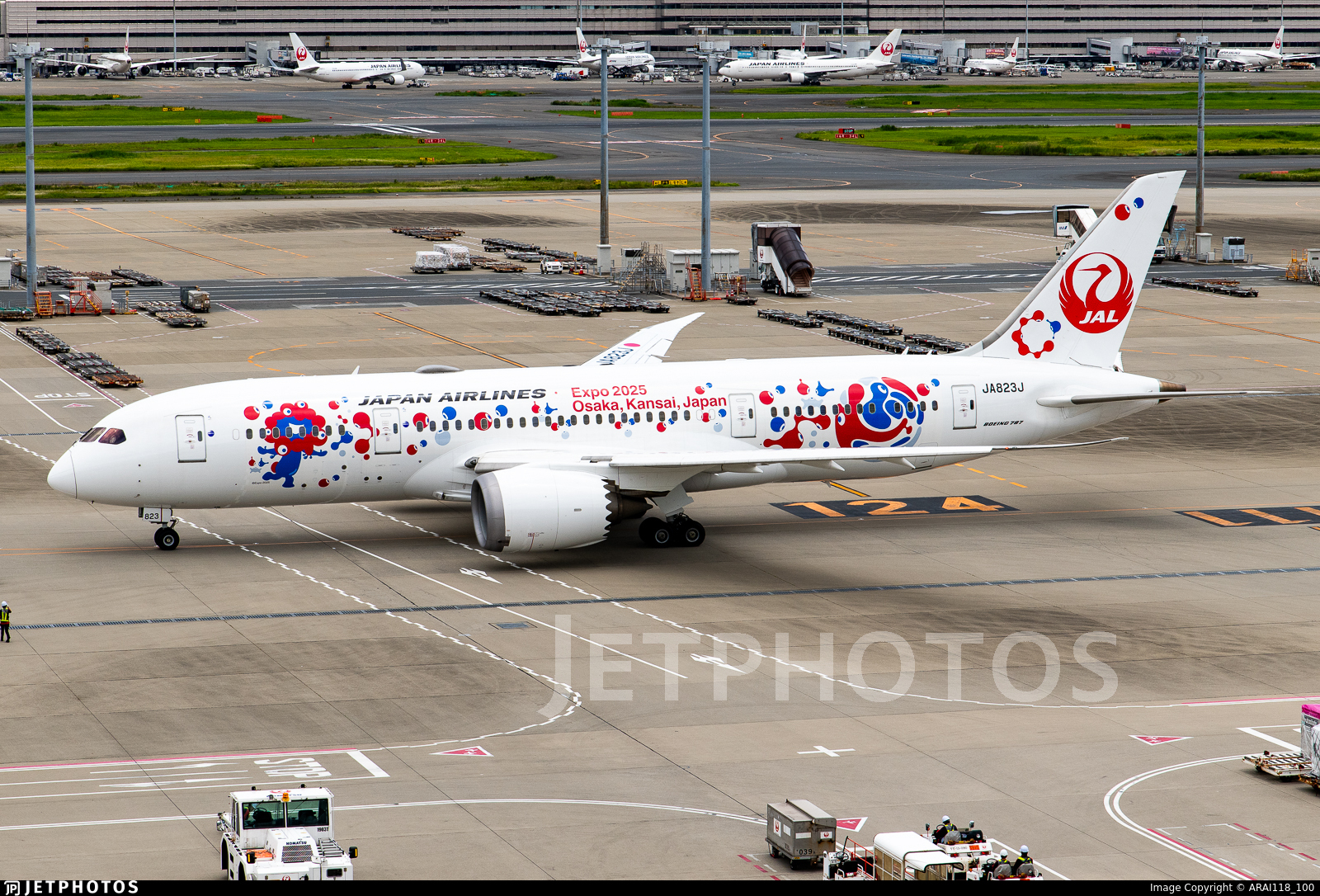 JA823J | Boeing 787-8 Dreamliner | Japan Airlines (JAL