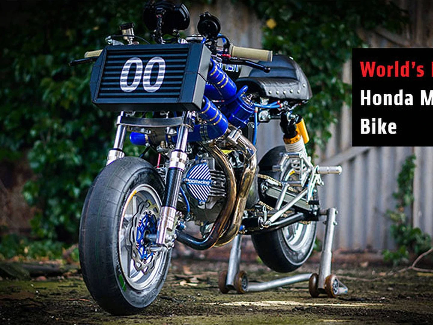 World's Fastest Honda Monkey Bike