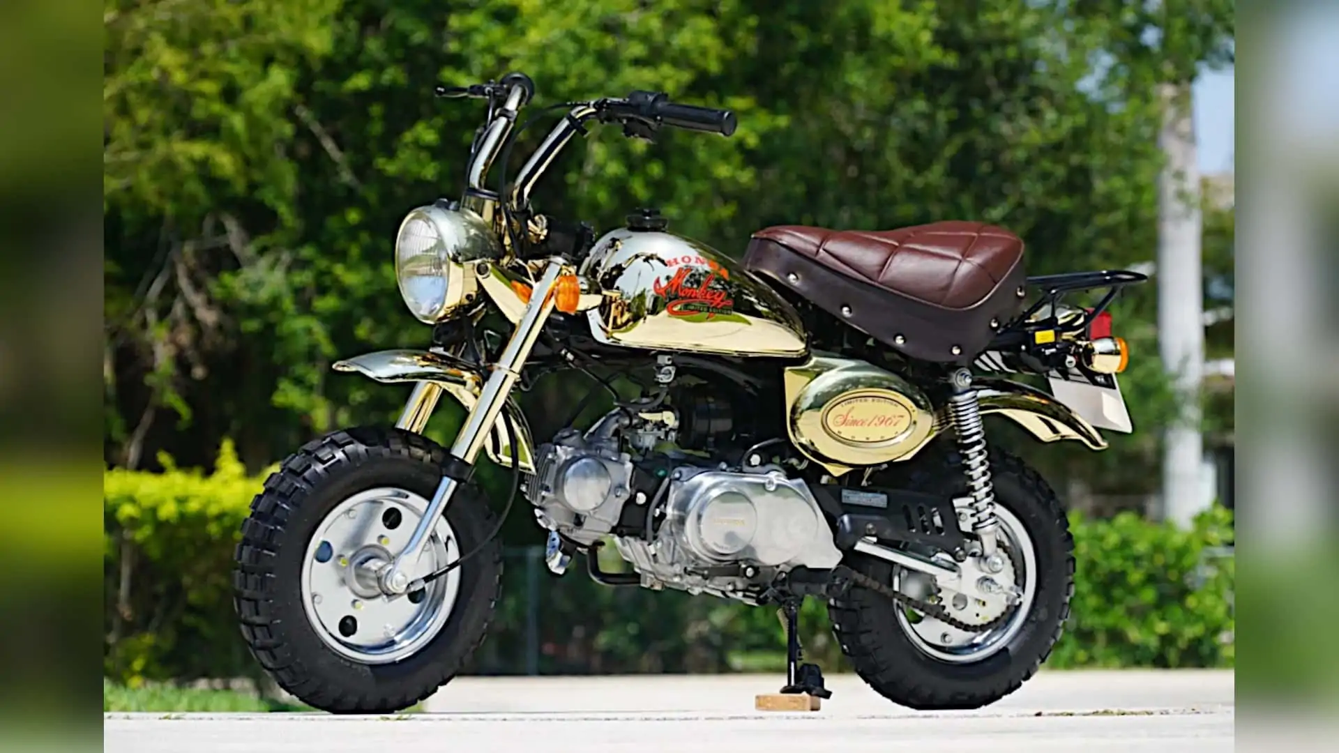 Rare Gold 1984 Honda Monkey Z50J Limited Edition Is Looking For A