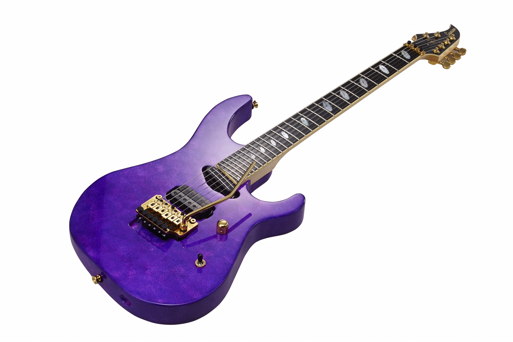 Caparison Guitars Introduces Limited Edition 20th Anniversary
