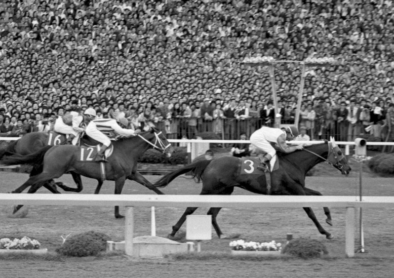 競馬：天皇賞を制した名馬たち [写真特集7/17] | 毎日新聞