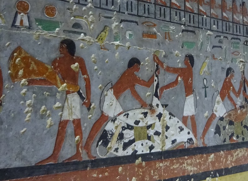 よみがえる4400年前の色鮮やか壁画 エジプト | 毎日新聞