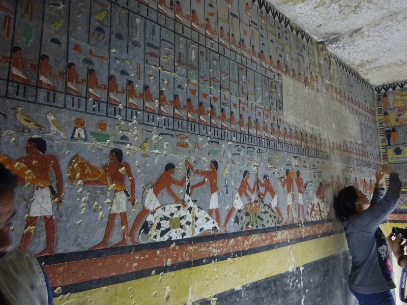 よみがえる4400年前の色鮮やか壁画 エジプト [写真特集13/12] | 毎日新聞