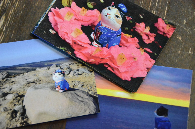 インスタ映えする」？ 伊豆大島で人気のあんこ猫とは | 毎日新聞