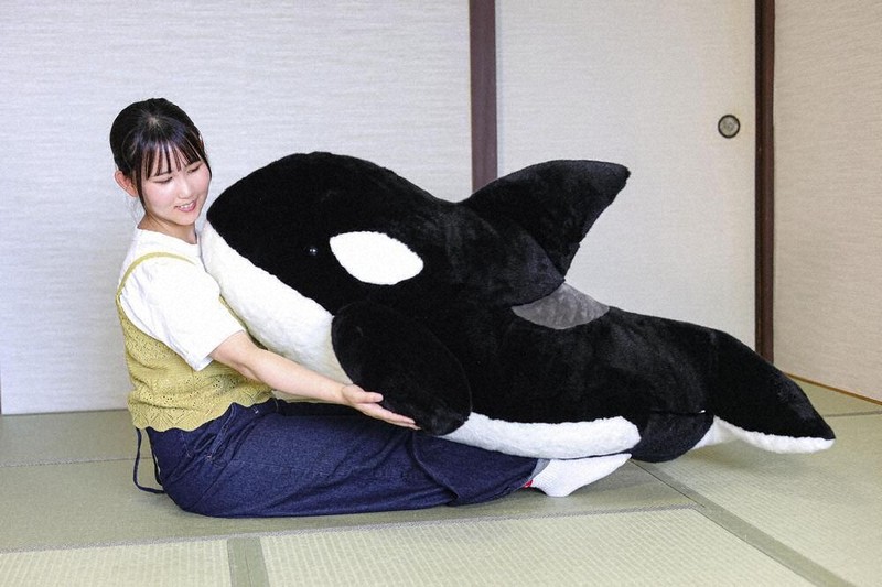 列島・北から南から 巨大シャチを自宅に | 毎日新聞