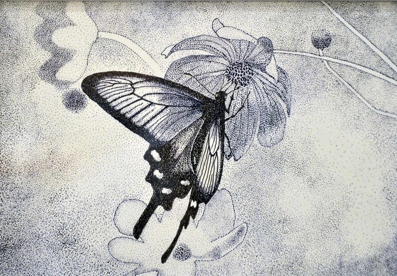 信州のファーブル」が追った美しきチョウ 圧巻146種 長野・松本で特別