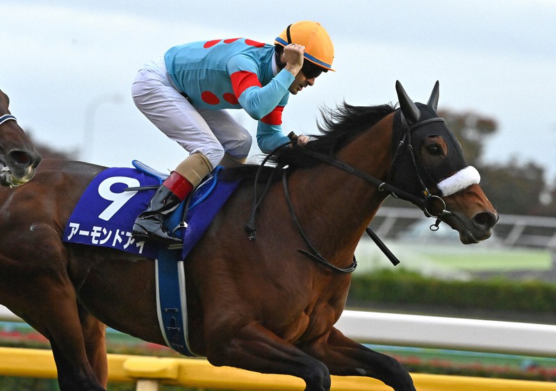 追われて「ちょっと怖かった。よく頑張った」 ルメール騎手