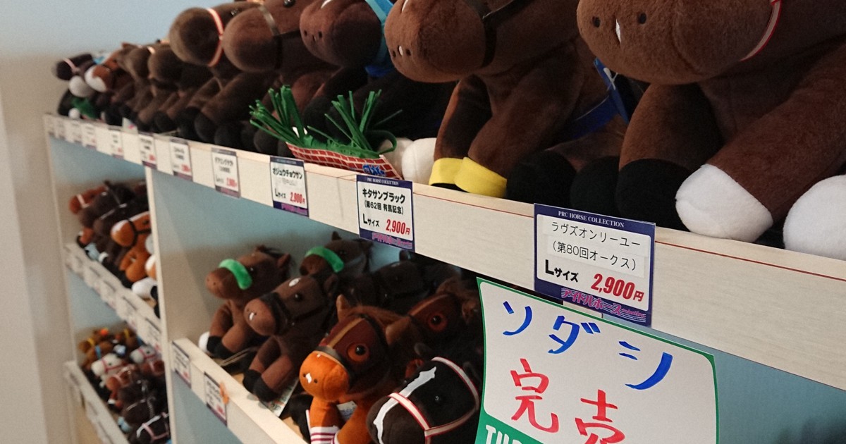 人気急上昇の白毛馬ソダシ 専門家も認める「別格」のアイドルに | 毎日新聞