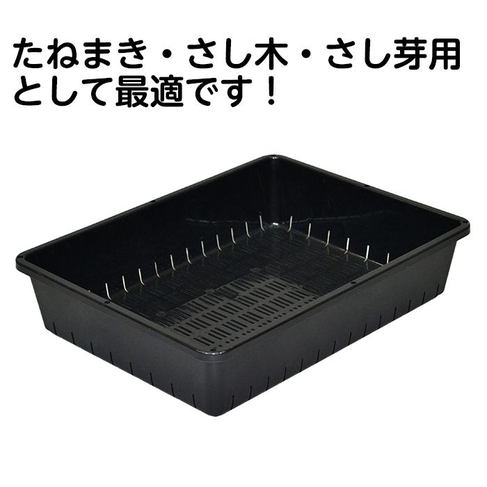 育苗コンテナ 12型の通販｜トレー・ポット｜育苗用品｜ホームセンター