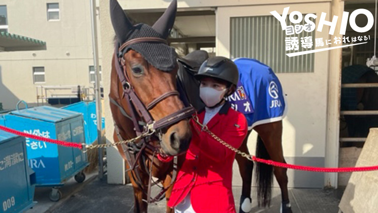 ヨシオだよ！ みんな見た!? 秋の福島開催で後ろの誘導をしたよ！ #3