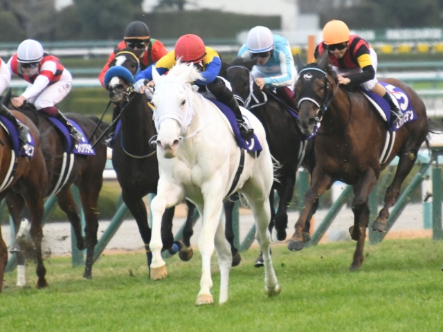 阪神JF結果】ソダシが接戦を制し無傷の4連勝！ 史上初、白毛馬のGI制覇