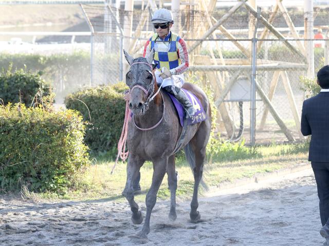 黒船賞レース後コメント】シャマル川田将雅騎手ら | 競馬ニュース