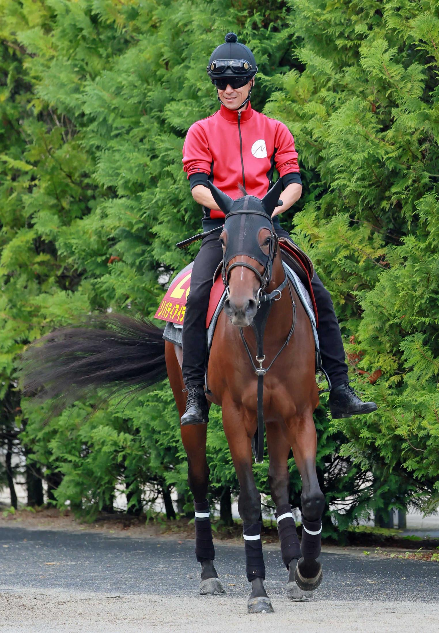 秋華賞】リバティアイランド 3冠達成をデータも後押し 貫禄の全項目