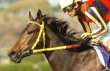 桜花賞、ブエナビスタが圧倒的人気に応え完勝 | 競馬ニュース - netkeiba