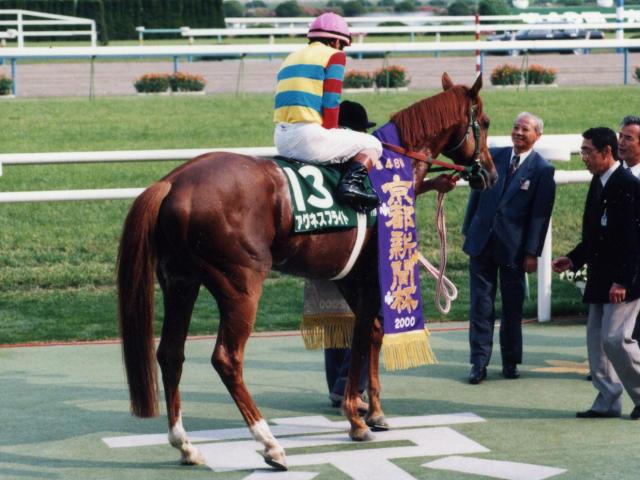 アグネスフライトが死亡 00年の日本ダービー馬 | 競馬ニュース - netkeiba