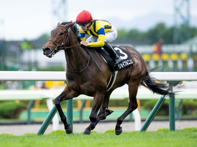 秋華賞出走馬決定順】収得賞金1500万円で4分の1抽選 フルゲート18頭に