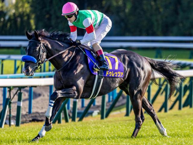 イクイノックス 2023 ドバイシーマC ルメール騎手直筆サイン 鬣 一本