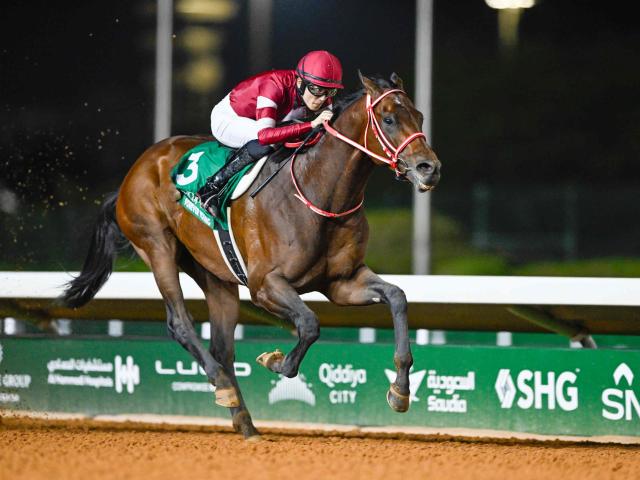 高知・黒船賞結果】シャマルが鮮やかに逃げ切りV！3連覇達成 | 競馬