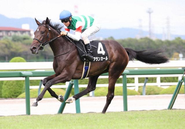 ヴィクトリアマイル出走馬情報(1)ウオッカ | 競馬ニュース - netkeiba