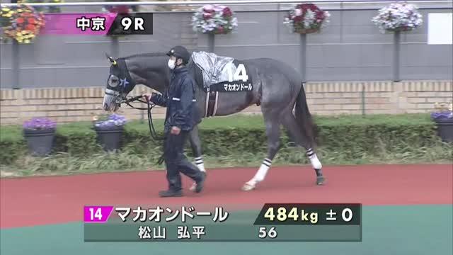 マカオンドール (Machaon d'Or) | 競走馬データ - netkeiba