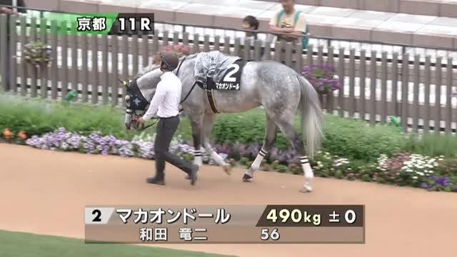 マカオンドール (Machaon d'Or) | 競走馬データ - netkeiba